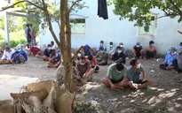 Phá sới đá gà có gần 30 con bạc đang "sát phạt" giữa mùa dịch