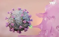 Virus SARS-CoV-2 có thể tấn công tai trong của bệnh nhân