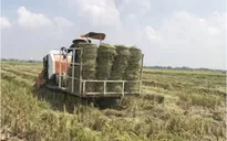 Ngành nông nghiệp Hà Nội năm bắt xu thế, hướng tới phát triển hiện đại giai đoạn 2021-2025