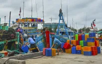 Bình Thuận dừng hoạt động Cảng cá Phan Thiết