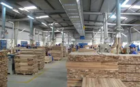 Việt Nam - Hoa Kỳ hợp tác kiểm soát khai thác, thương mại gỗ bất hợp pháp