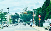 Đà Lạt đề xuất lắp đặt thêm hệ thống đèn giao thông