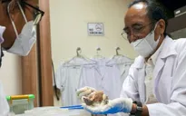 Hài cốt phụ nữ Indonesia cổ đại định hình lại sự phát triển của loài người sơ khai