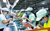 Hơn 340.000 doanh nghiệp được giảm đóng vào Quỹ bảo hiểm thất nghiệp