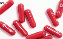 Châu Âu cân nhắc đánh giá nhanh về thuốc Molnupiravir