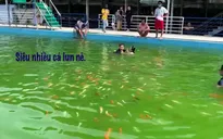 11 tháng 5 ngày: Hậu trường Khả Ngân "khóc thét" dầm mình giữa đàn cá koi