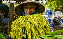 Bếp làng nhộn nhịp vì đặc sản mùa thu Hà Nội