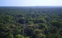 Bà Rịa - Vũng Tàu: Nhiều sai phạm sử dụng đất tại Khu bảo tồn thiên nhiên Bình Châu - Phước Bửu