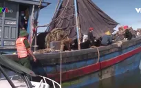 Phạt 3 chủ tàu đưa 14 ngư dân vào bờ trái phép 22,5 triệu đồng
