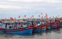 Nghệ An cấm biển từ 0h ngày 10/10