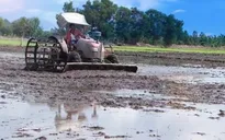 Chuyên gia cảnh báo sau mùa lũ cạn ở ĐBSCL