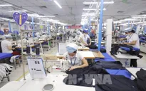 Việt Nam - Điểm sáng trong quá trình phục hồi chuỗi cung ứng Đông Nam Á