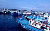 Bình Thuận: Dừng vận tải hành khách tuyến Phan Thiết - Phú Quý