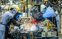 World Bank: Kinh tế Việt Nam đang phục hồi