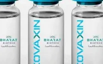 Vaccine ngừa COVID-19 của Ấn Độ được đánh giá có “hiệu quả cao”