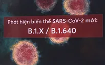Biến thể mới của SARS-CoV-2 chứa đột biến lạ