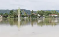 Mưa lớn kéo dài, gây ngập sâu nhiều nơi ở Phú Yên