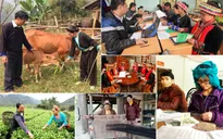 Lập Ban Chỉ đạo Trung ương các chương trình mục tiêu quốc gia 2021-2025