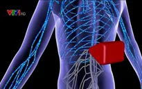 Hy vọng mới cho người liệt nhờ liệu pháp đột phá