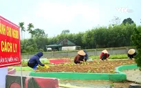 Giáo viên vùng đỏ ở Hà Tĩnh: Cách ly vẫn không quên nhiệm vụ