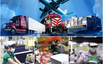 Doanh nghiệp FDI chiếm 70% giá trị xuất nhập khẩu