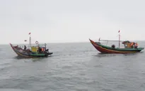 Mở đợt cao điểm kiểm tra, xử lý nghiêm mọi vi phạm khai thác IUU