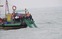 Còn nhiều thách thức trong khắc phục thẻ vàng thủy sản