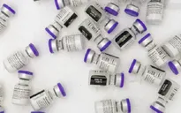 Mỹ phê duyệt mũi tiêm tăng cường với vaccine Pfizer và Moderna cho người trưởng thành
