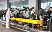 Mở lại thị trường lao động quốc tế
