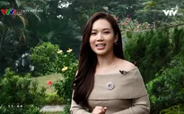 Ngọc Anh tiết lộ về mối tình của mình trong "Phố trong làng"