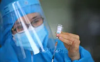 Cảnh báo nguy cơ dịch chồng dịch trong mùa Đông Xuân
