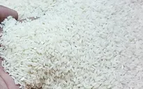 Hỗ trợ gạo cho 2 tỉnh Sóc Trăng, Nghệ An