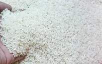 3 cháu bé nhập viện nghi ăn phải gạo tẩm thuốc diệt chuột