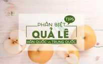 Lê Hàn Quốc giả được bày bán tràn lan trên thị trường