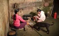 Cặp lá yêu thương: Ngôi nhà mới vắng cha