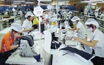 Nhiều điểm sáng trong bức tranh kinh tế Việt Nam