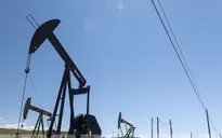 OPEC+ hoãn các cuộc họp kỹ thuật do sự xuất hiện của biến thể Omicron