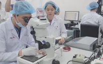 More subjects of Ho Chi Minh City National University enter rankings