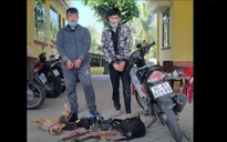 Chưa xóa án tích đã tiếp tục "hành nghề" trộm chó