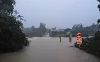 Đề phòng sạt lở, huyện Bắc Trà My di dời khẩn cấp 48 hộ dân ngay trong đêm