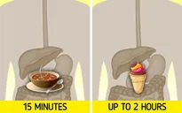 Đồ ăn nóng hoặc lạnh ảnh hưởng đến cơ thể chúng ta như thế nào?