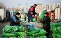 Giá lương thực, thực phẩm tăng "chóng mặt" tại Trung Quốc