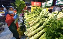 Giá rau tại Trung Quốc tăng mạnh, có loại đắt gấp đôi thịt lợn
