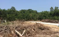Yêu cầu báo cáo tình hình đất đai tại Phú Quốc