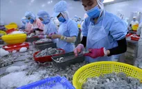 Việt Nam khẳng định vị thế sau 15 năm gia nhập WTO