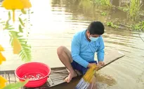 Nhọc nhằn mưu sinh mùa lũ muộn