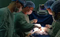 Phẫu thuật lấy khối tóc nặng gần nửa cân trong dạ dày bé 7 tuổi