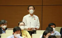 ĐBQH: Không để đầu cơ, lũng đoạn giá làm tăng lạm phát