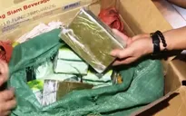 Cảnh báo tình trạng lợi dụng xe luồng xanh vận chuyển ma túy