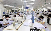 Kinh tế Việt Nam trên đà phục hồi